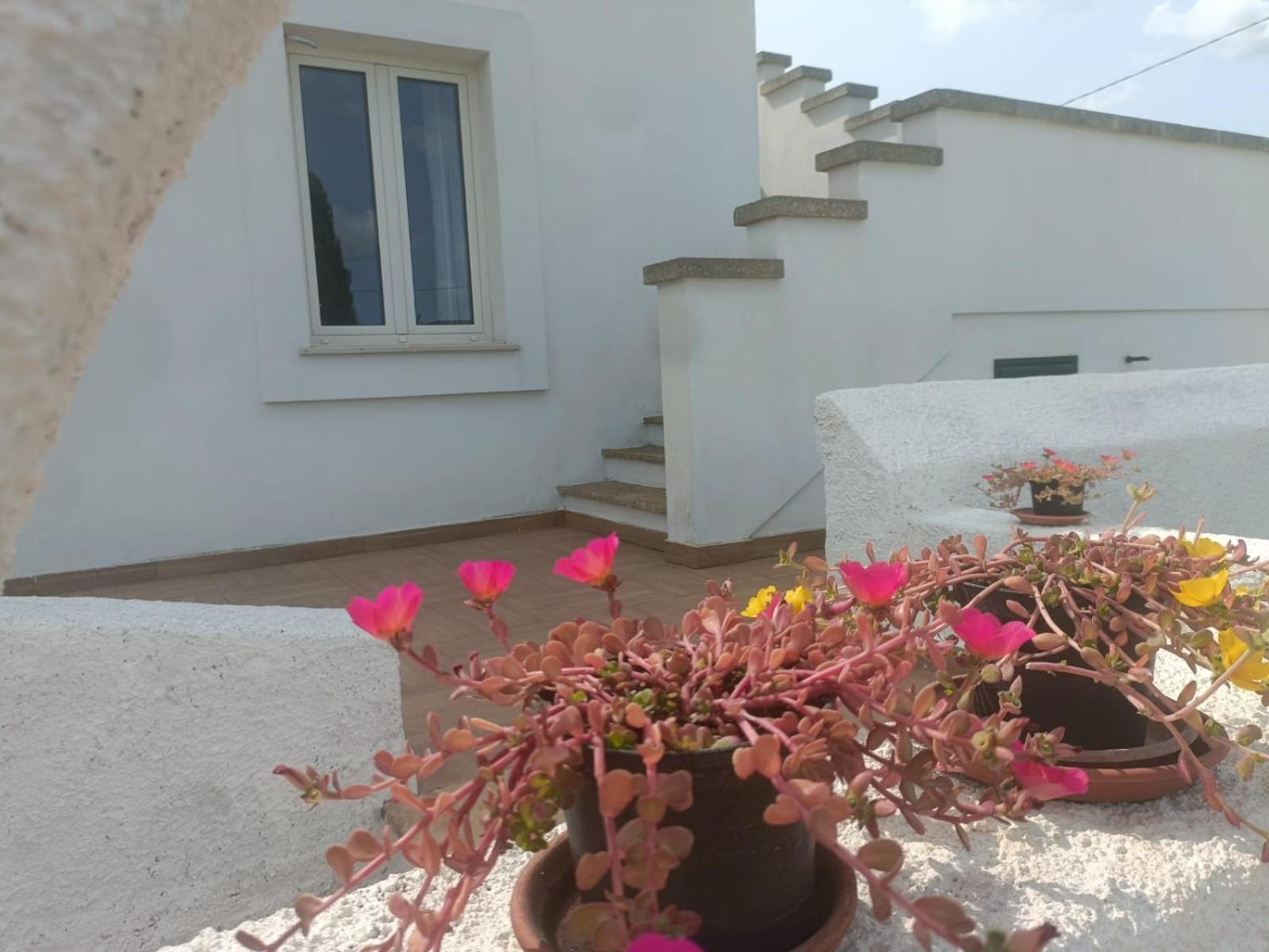 Villa Raffaella Spongano Exterior foto